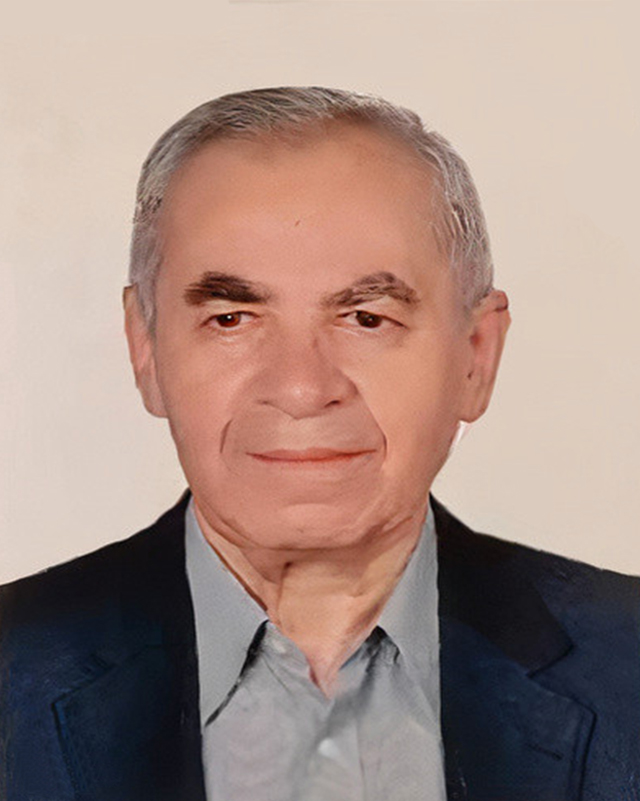 Professional Service